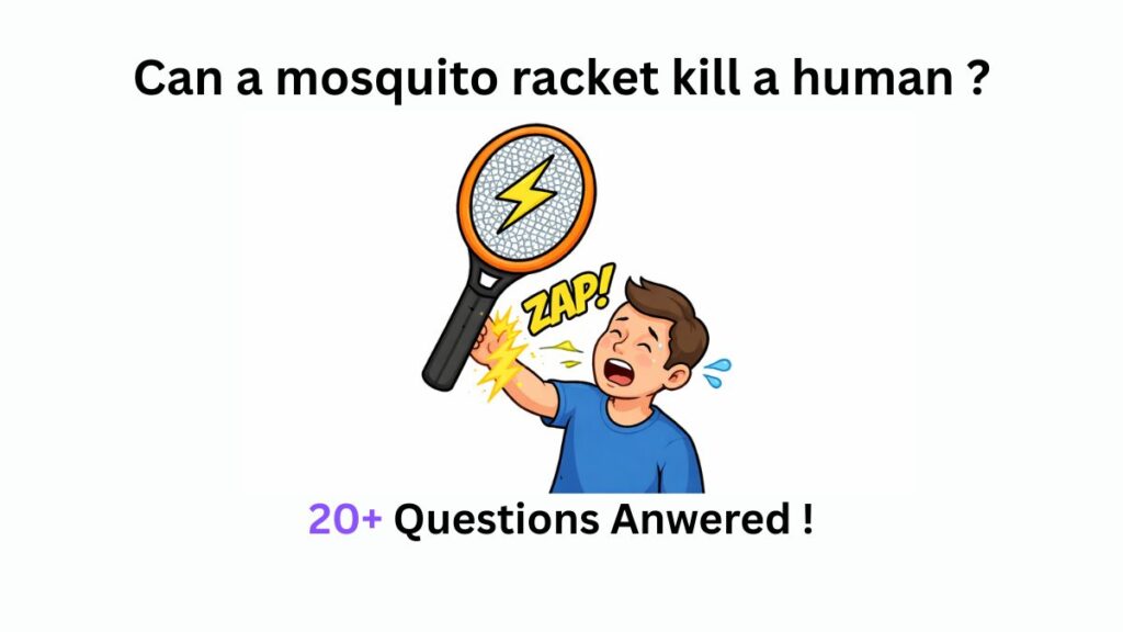 Can a mosquito racket kill a human
